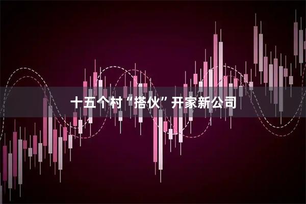 十五个村“搭伙”开家新公司