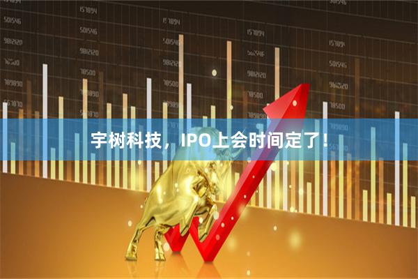 宇树科技，IPO上会时间定了！