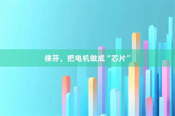 徕芬，把电机做成“芯片”