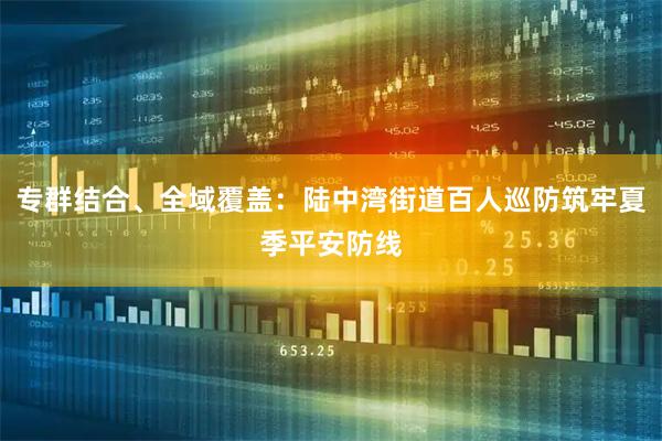 专群结合、全域覆盖：陆中湾街道百人巡防筑牢夏季平安防线